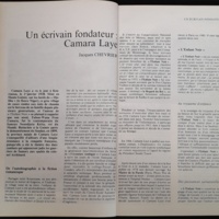 16.2 NotreLibrairie Litte╠üratureGuine╠üenne-34.jpg