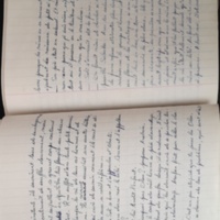 15.6.1 CahierRose MichelSeRelevaPe╠üniblement-70.jpg