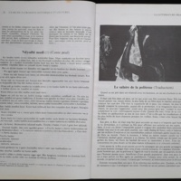 16.2 NotreLibrairie Litte╠üratureGuine╠üenne-15.jpg