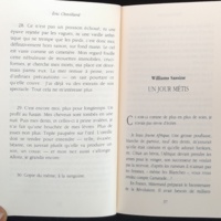 22.4.5 SerpentàPlumesN°17-29.jpg