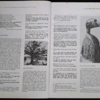 16.2 NotreLibrairie Litte╠üratureGuine╠üenne-14.jpg