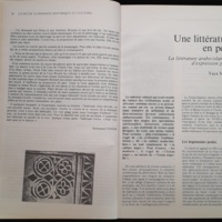 16.2 NotreLibrairie Litte╠üratureGuine╠üenne-30.jpg