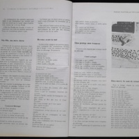 16.2 NotreLibrairie Litte╠üratureGuine╠üenne-19.jpg