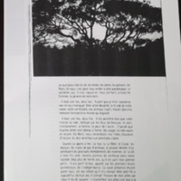 16.3 Notre Librairie1996-11.jpg