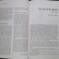 16.2 NotreLibrairie Litte╠üratureGuine╠üenne-61.jpg