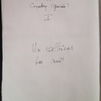 20.3 Albinos la nuit.jpg