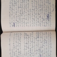 15.6.1 CahierRose MichelSeRelevaPe╠üniblement-75.jpg