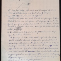 15.7.1 LesAfricai╠êns p77-260-175.jpg