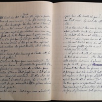 15.3.5 cahiermanuscrit-51.jpg