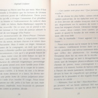 22.4.5 SerpentàPlumesN°17-13.jpg