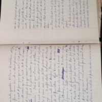 15.6.1 CahierRose MichelSeRelevaPe╠üniblement-23.jpg