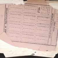 15.6.1 CahierRose MichelSeRelevaPe╠üniblement-79.jpg