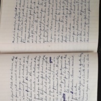 15.6.1 CahierRose MichelSeRelevaPe╠üniblement-68.jpg