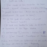 6.2.2 A.Albinos B.Femme G.BobDenard-11.jpg