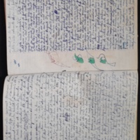 15.4.1 Cahier Le Lion30.jpg