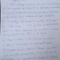 6.2.2 A.Albinos B.Femme G.BobDenard-16.jpg