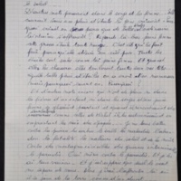 15.7.1 LesAfricai╠êns p77-260-260.jpg