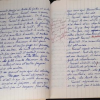 15.1.5 CahierGris l'Alphabe╠éte-86.jpg