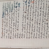 15.6.1 CahierRose MichelSeRelevaPe╠üniblement-37.jpg