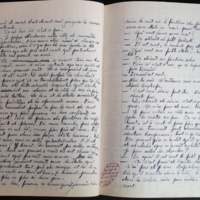 15.3.5 cahiermanuscrit-68.jpg