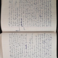 15.6.1 CahierRose MichelSeRelevaPe╠üniblement-71.jpg