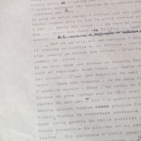 21.9.1 MélangeTap.Man.L'Albinos ?16.jpg