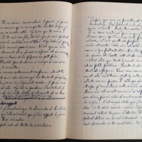 15.3.5 cahiermanuscrit-59.jpg