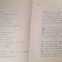 15.1.4 CahierBlason 20.jpg