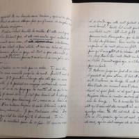 15.3.5 cahiermanuscrit-36.jpg