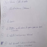 6.2.2 A.Albinos B.Femme G.BobDenard-2.jpg