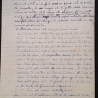 15.7.1 LesAfricai╠êns p77-260-246.jpg