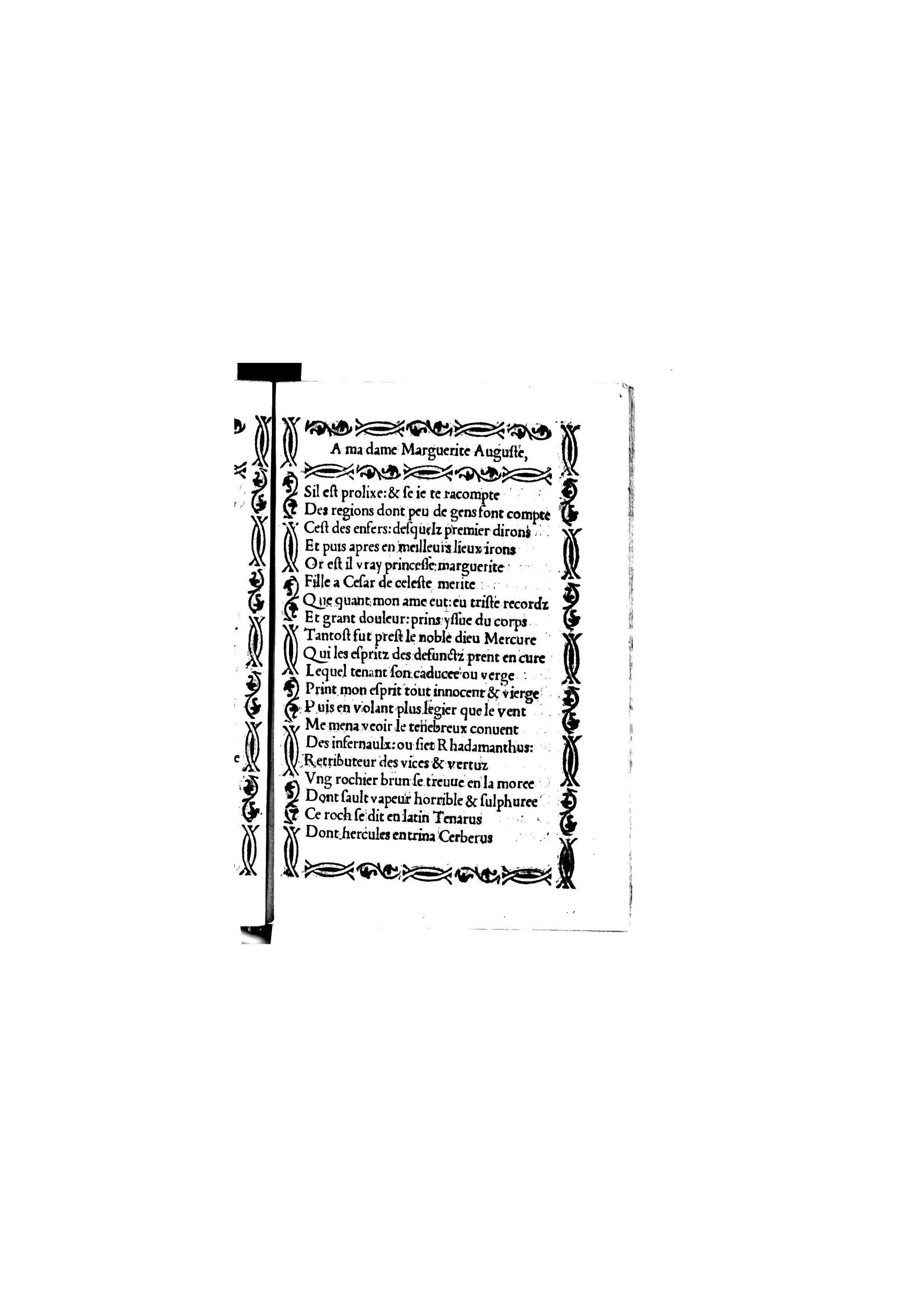 [1535_Triompheamvert_Janot]_Page_029.jpg