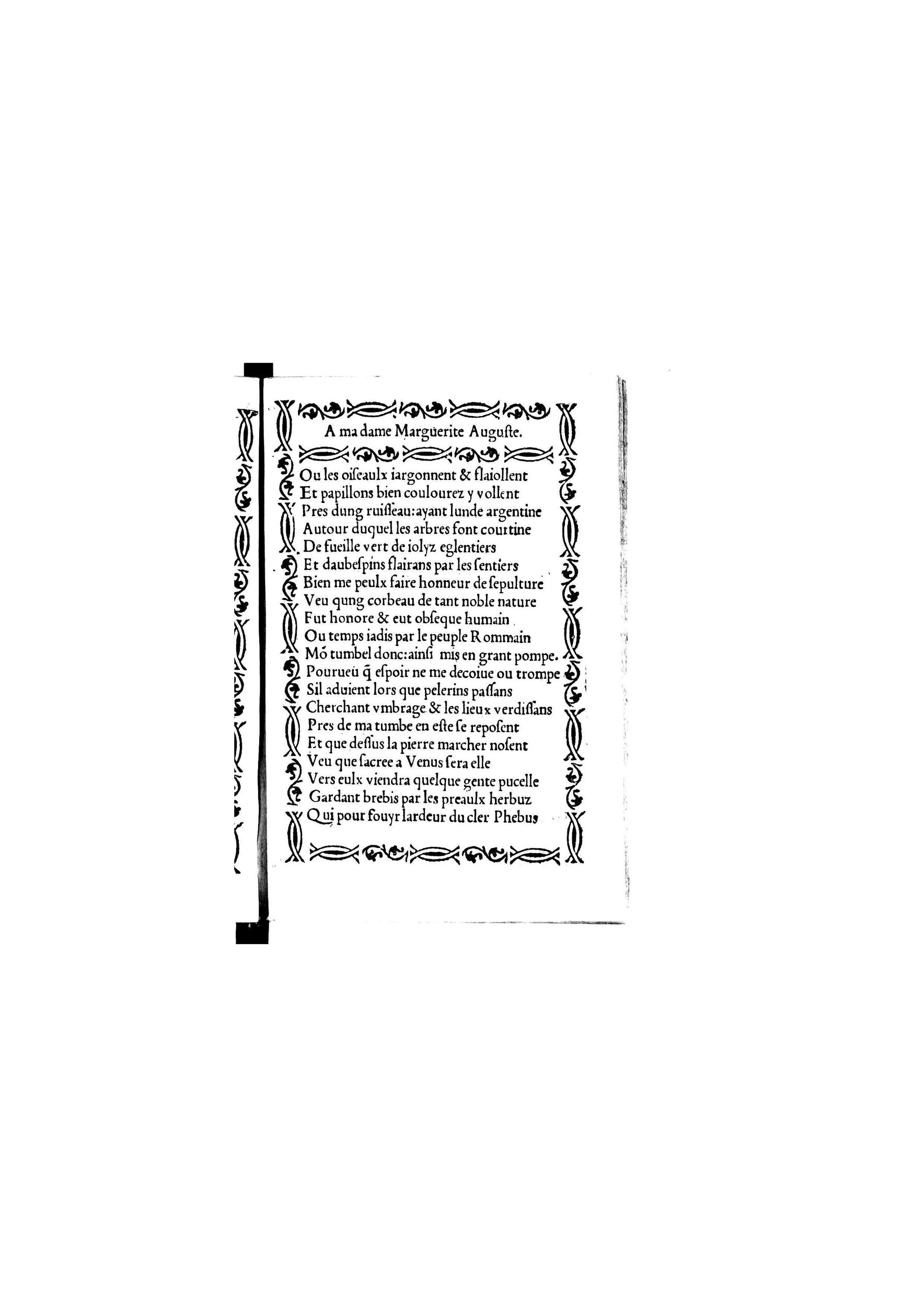 [1535_Triompheamvert_Janot]_Page_015.jpg