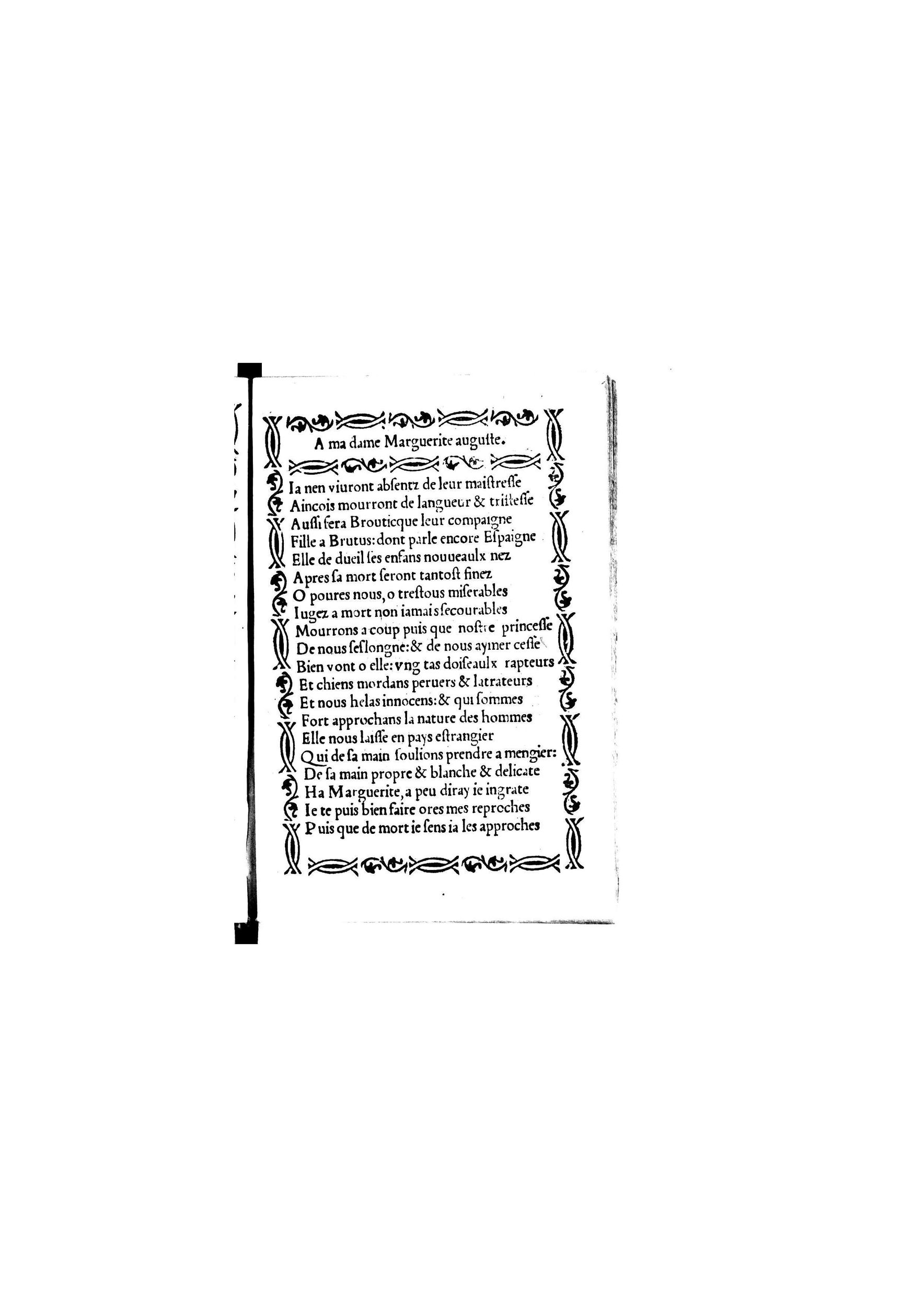 [1535_Triompheamvert_Janot]_Page_013.jpg