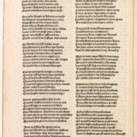 [1502c_Vergier_dhonneur_Petit]_Page_046.jpg