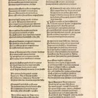 [1502c_Vergier_dhonneur_Petit]_Page_049.jpg